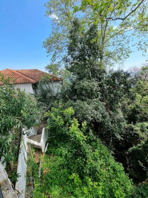 Kapsala'S Family Home Agios Ioannis  Zewnętrze zdjęcie
